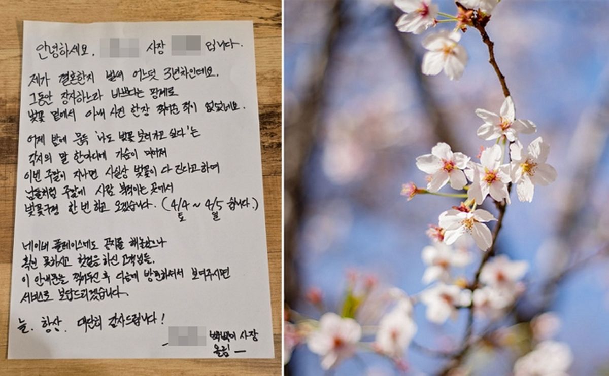 가게 문 닫고 3년 만에 아내와 ‘벚꽃’ 보러 간 돈가스집 사장님... 휴무공지에 “로맨티스트” 반응 터졌다