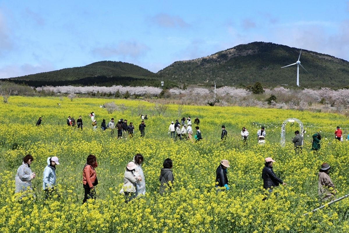 한국인 여행객, 숙소 가격보다 '이것' 더 따졌다... 선호 기준에 폭풍 공감