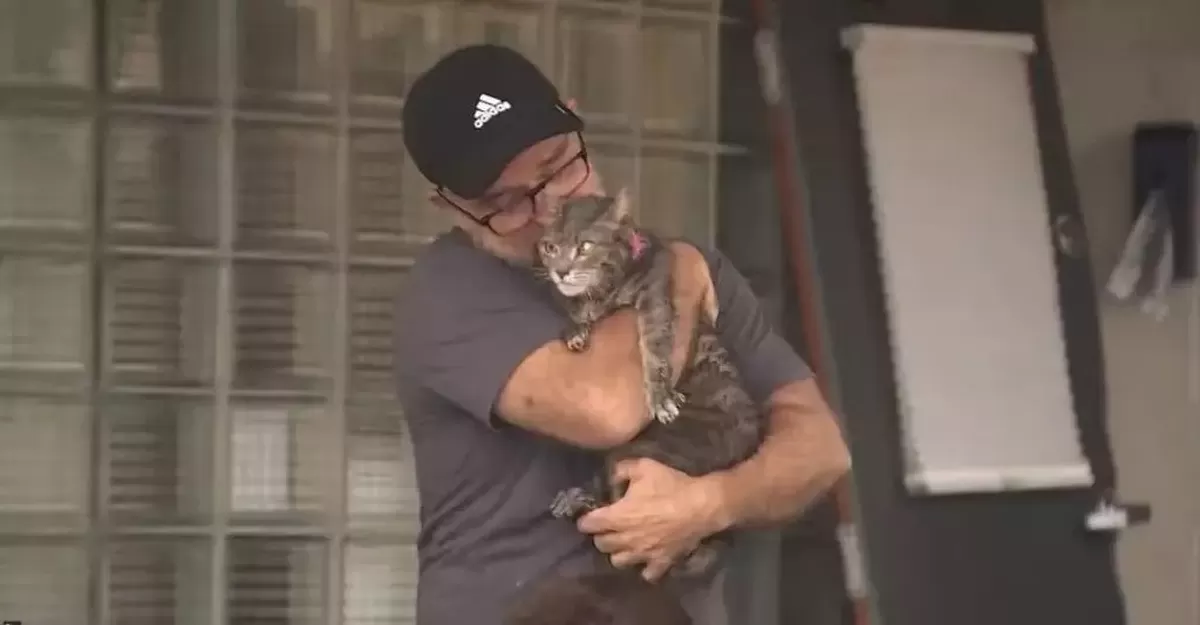 收容所突發大火，消防奮力救出多隻受困毛孩還暖心收編。網上圖片