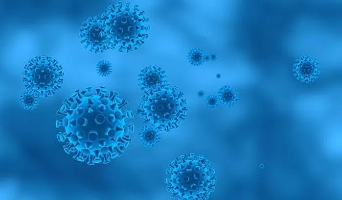 기사의 이해를 돕기 위한 자료 사진 / gettyimagesBank