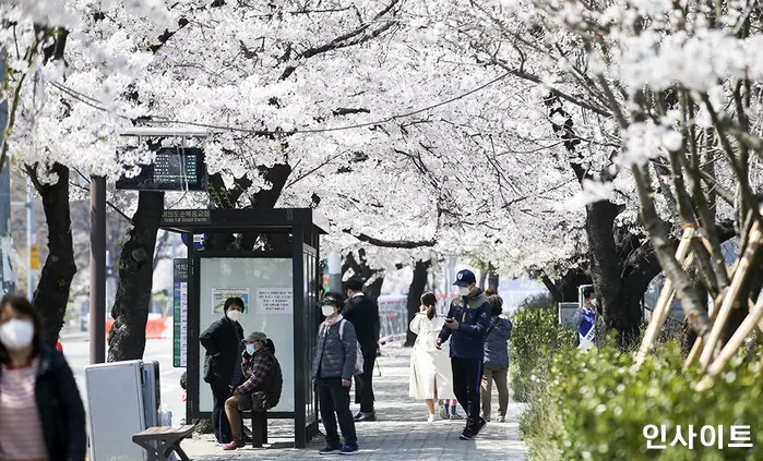 기사의 이해를 돕기 위한 자료 사진 / 사진 = 인사이트