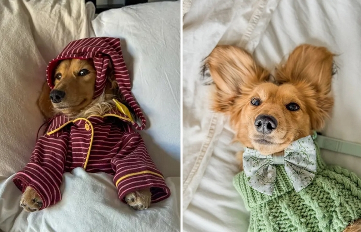 2026-04-08 15 35 51.jpg