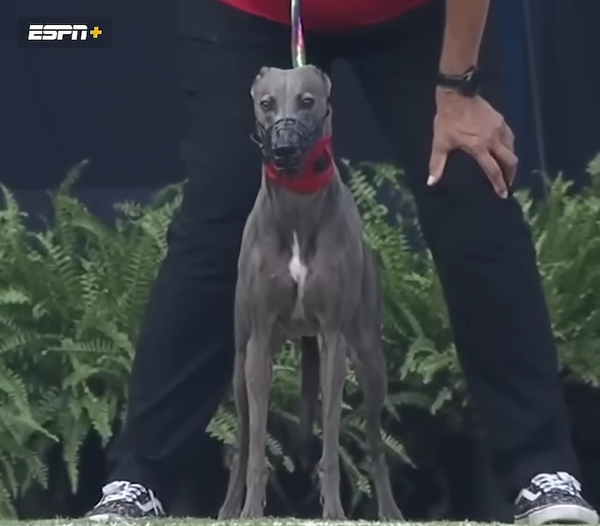 Winston was MOVIN' 😮 0-1 screenshot.jpg