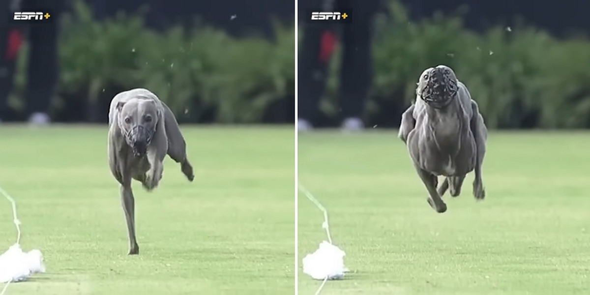 2026-04-09 11 07 48.jpg