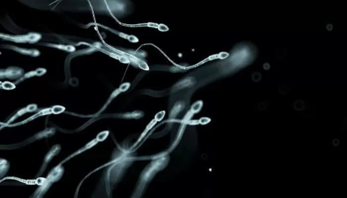 정자왕 선발대회,정자 기증,중국,대학생,정자