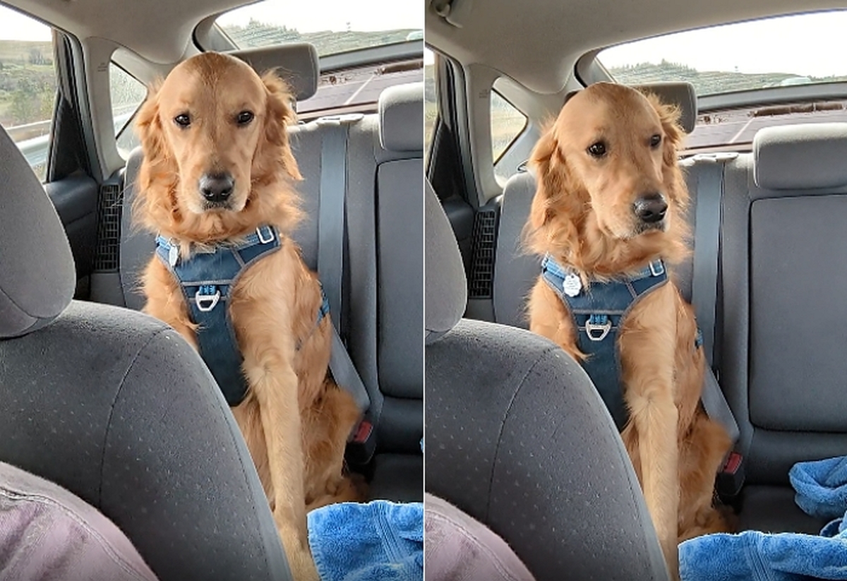 2026-04-10 09 13 38.jpg