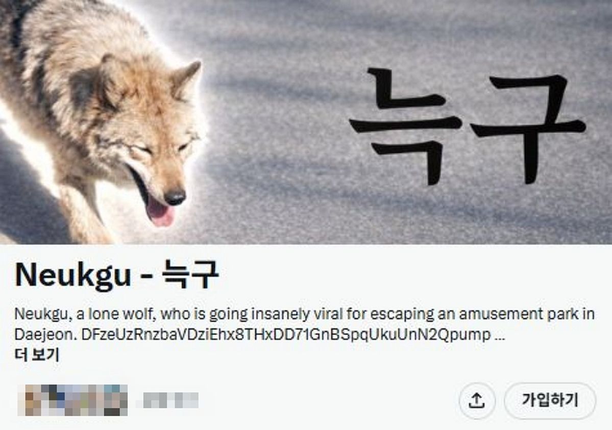 ‘오월드 탈출 늑대’ 늑구, 영문 홈피 등장... 전 세계가 지켜보고 있다