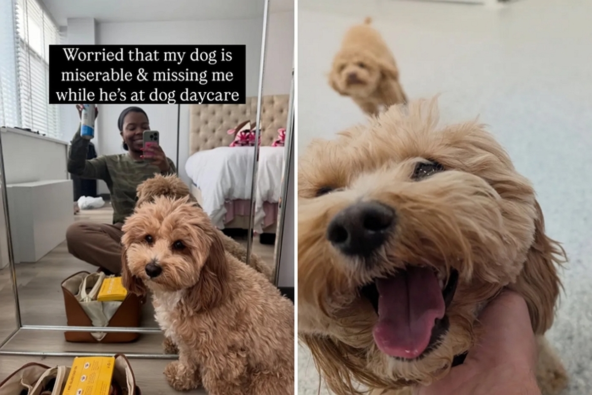 섀넌 힌즈 인스타그램