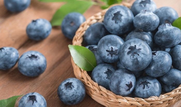 신비로운 '블루퍼플' 조합으로 청량미 내뿜는 '블루베리 그레이' 염색