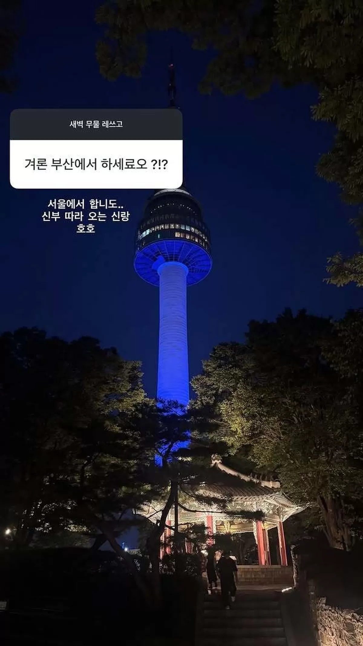 최준희 소셜미디어