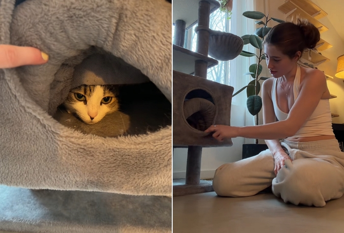 2026-04-14 13 04 15.jpg