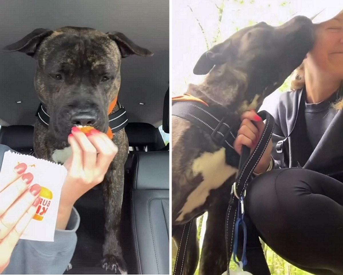 2026-04-14 14 57 01.jpg