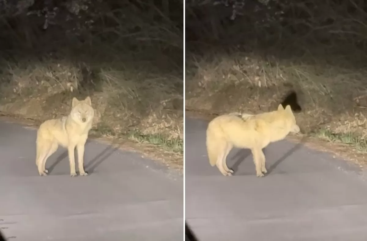 A씨 인스타그램 캡처