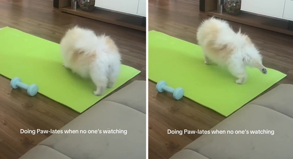 2026-04-15 13 46 17.jpg