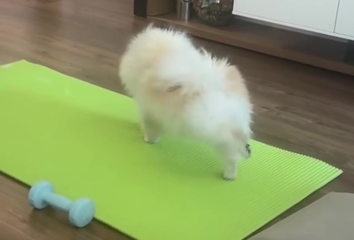 FastDl.Net_AQP1NFBfopua3oPb8CtS12R9lrqUm8aD4B8eX9HBMYdqkUxH2HJPzdVFVXQEYlozJFoMueViu7w3LWw7_q1WjS_eUfm5K_VFuJEld24 - frame at 0m6s.jpg