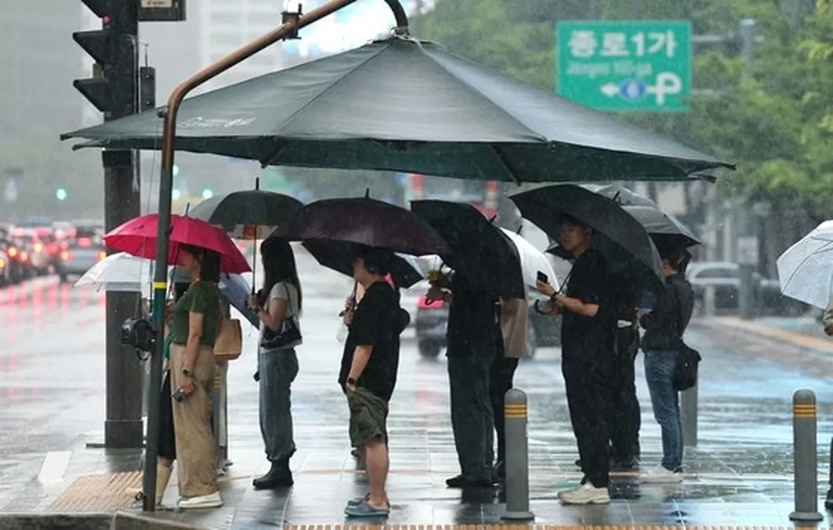 지난해 6월 20일 서울 광화문네거리에서 우산을 쓴 시민들이 출근하고 있다. 뉴스1