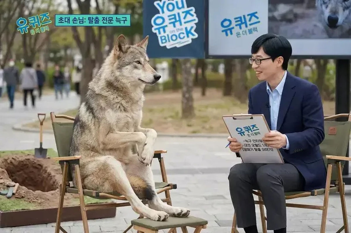 '무사귀환' 늑구, 온라인 밈 폭발 