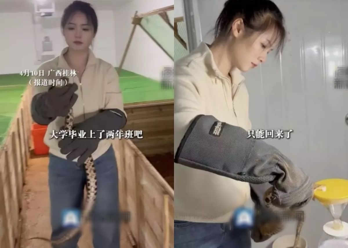 독사 6만 마리와 동거하는 중국 여성의 '억' 소리나는 연봉 수준