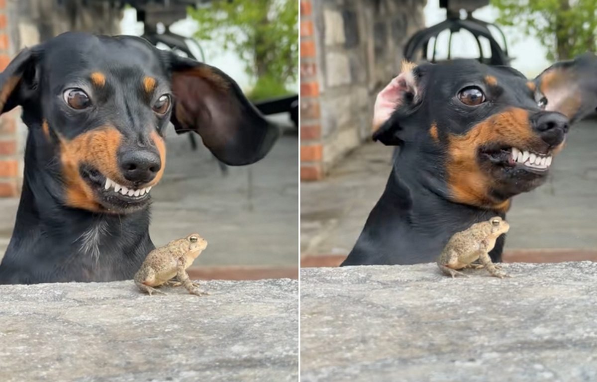 2026-04-21 10 23 29.jpg