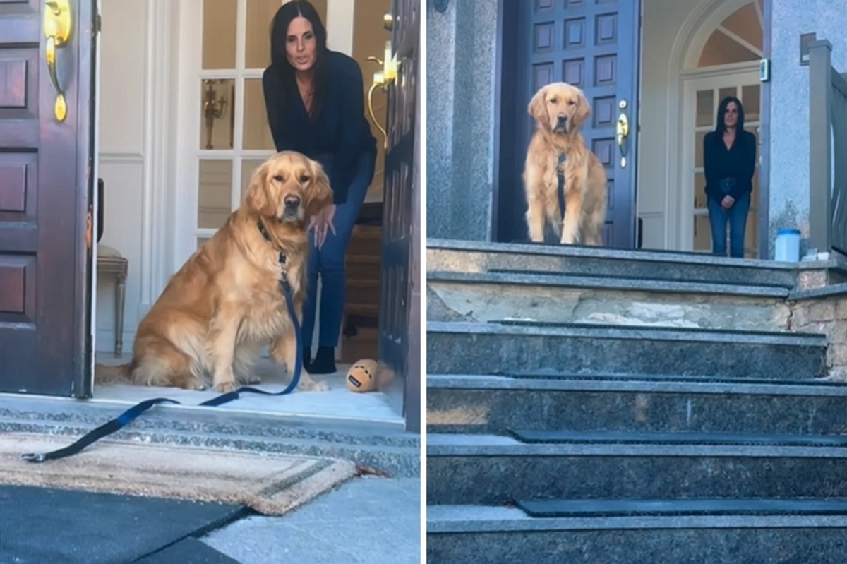 Golden-Retriever-Refuses-to-Leave-Grandmas-House.jpg