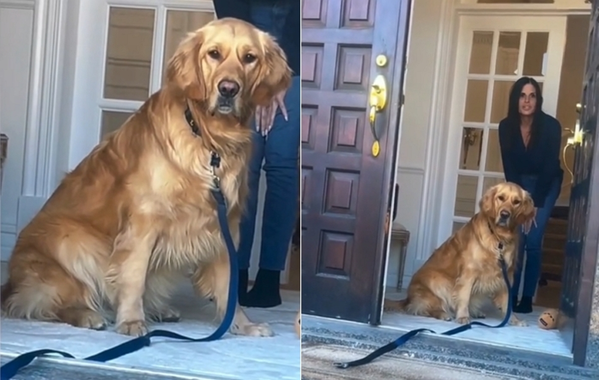 2026-04-21 10 39 32.jpg