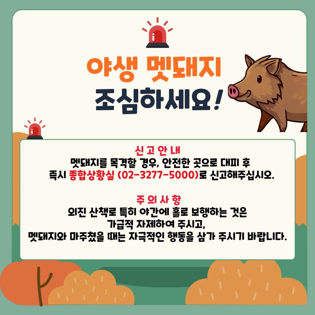 origin_멧돼지봤어요이화여대서잇단신고…휴게소이어캠퍼스까지출몰.jpg