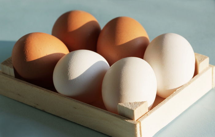 하루에 '달걀' 2개씩 먹으면 우리 몸에 나타나는 놀라운 효과 7