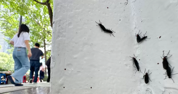 러브버그 / 뉴스1