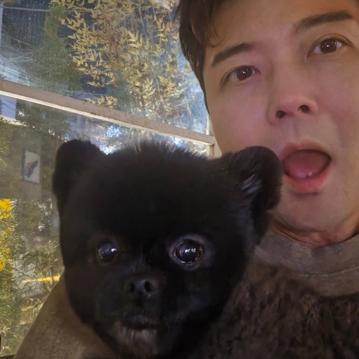 흑백강아지 + 시츄.jpg