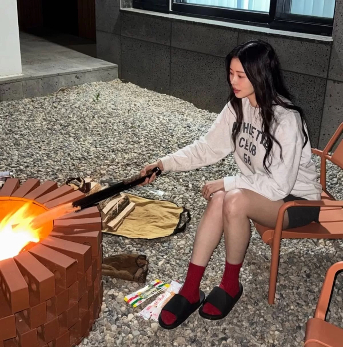 인사이트