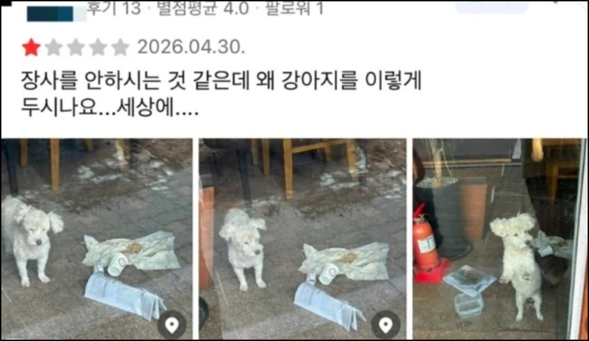 강1.jpg