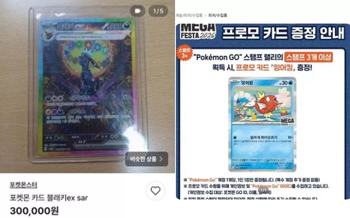 인사이트