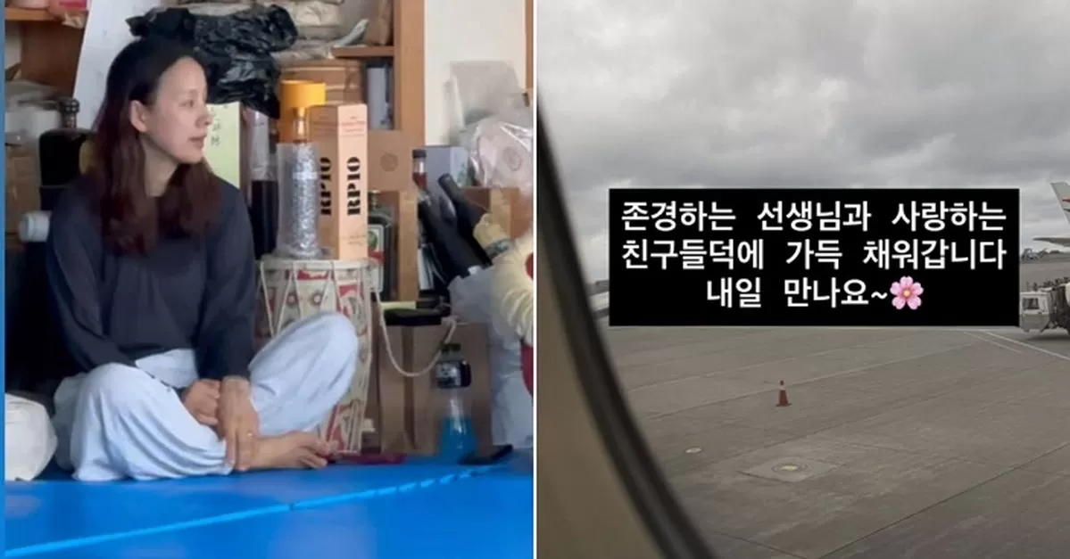 인사이트