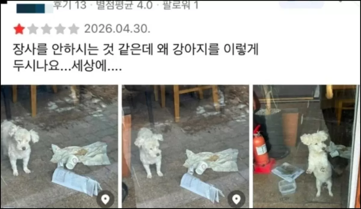 인사이트