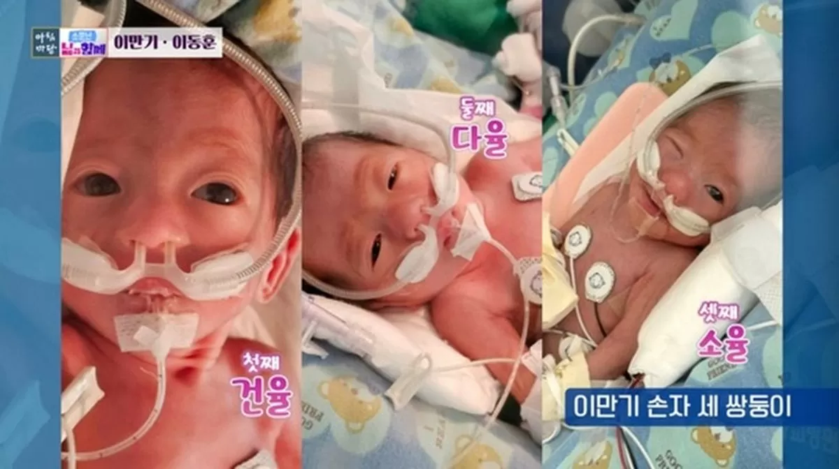 인사이트