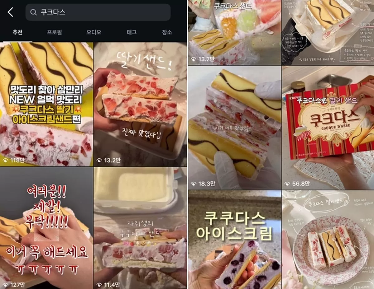 인사이트