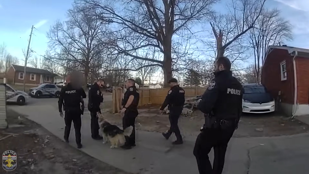 2_9_26 LMPD's Seventh Division with the help of a neighborhood dog finds a missing child. 3-26 screenshot.png