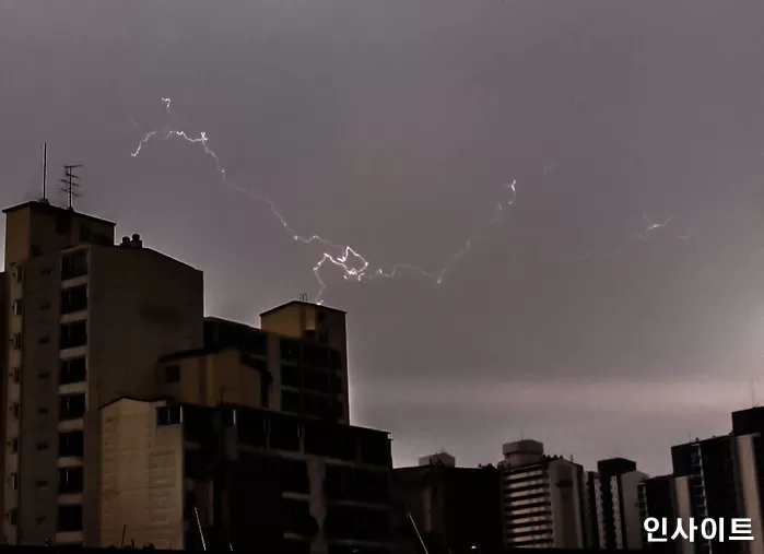 기사의 이해를 돕기 위한 자료 사진 /&nbsp; 사진=인사이트