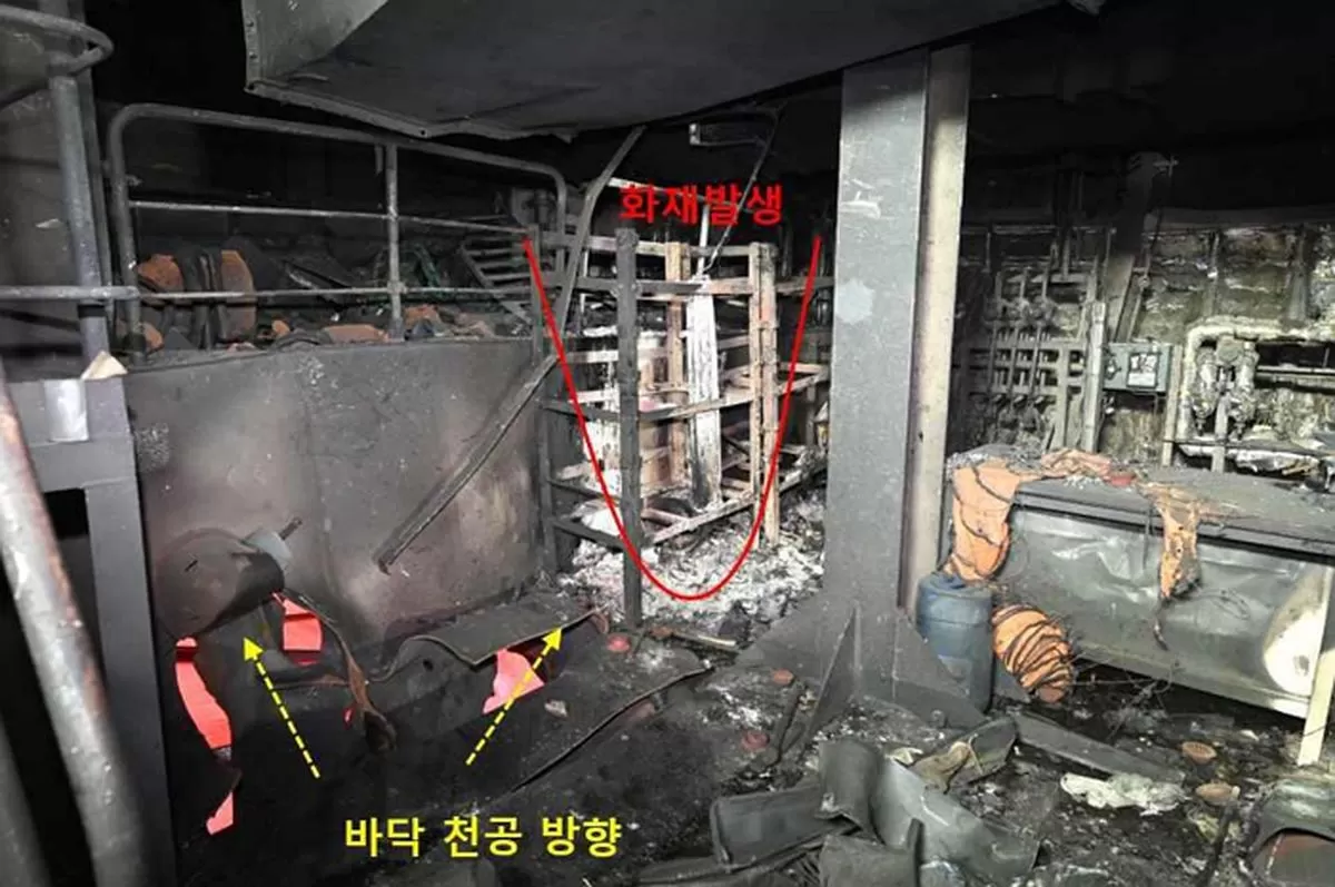 인사이트