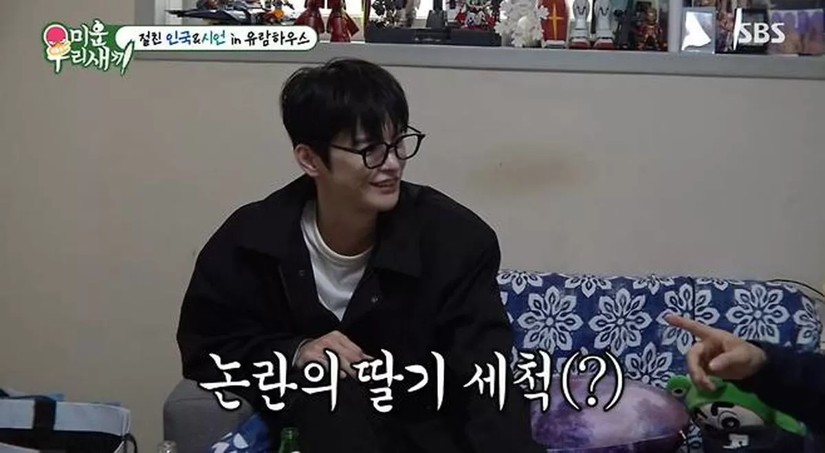 인사이트