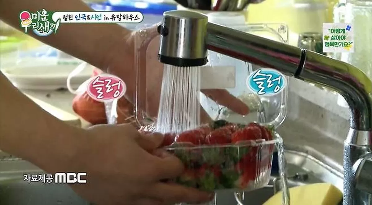 인사이트
