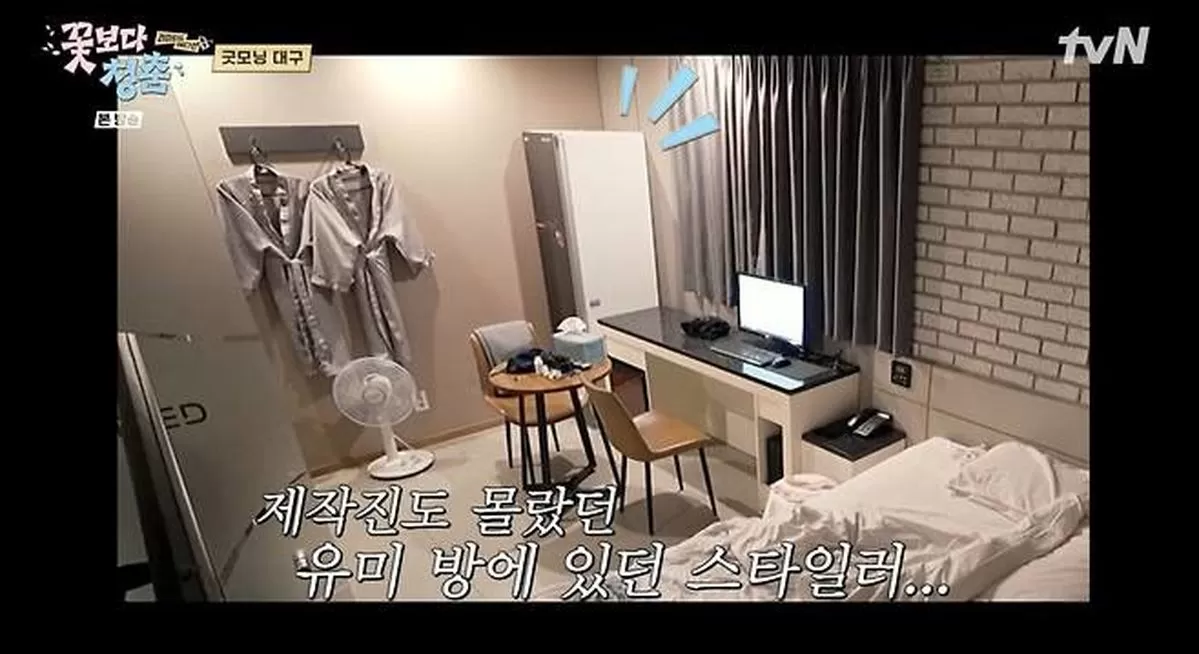 인사이트