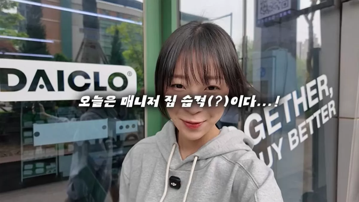 인사이트