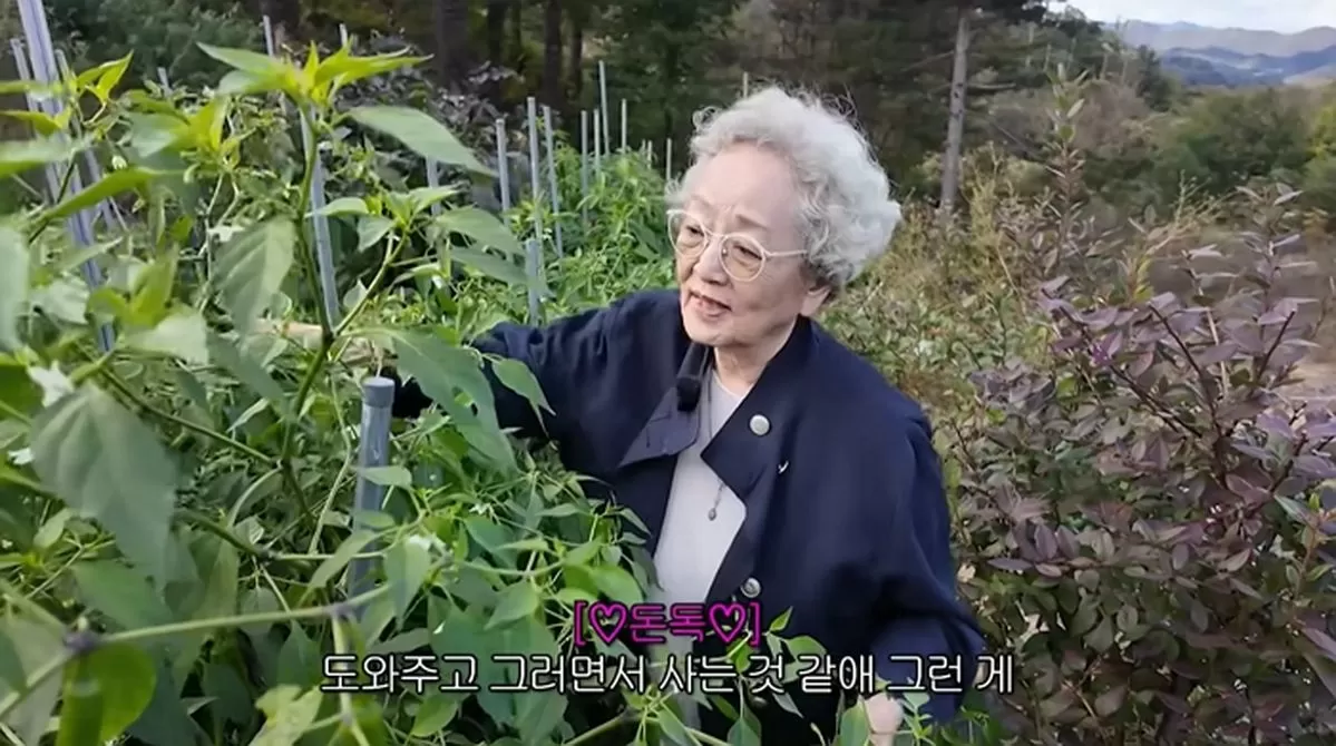 인사이트