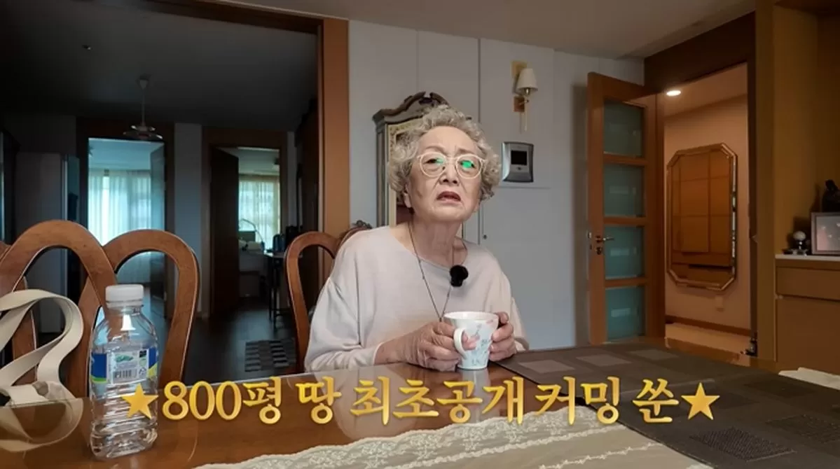 인사이트