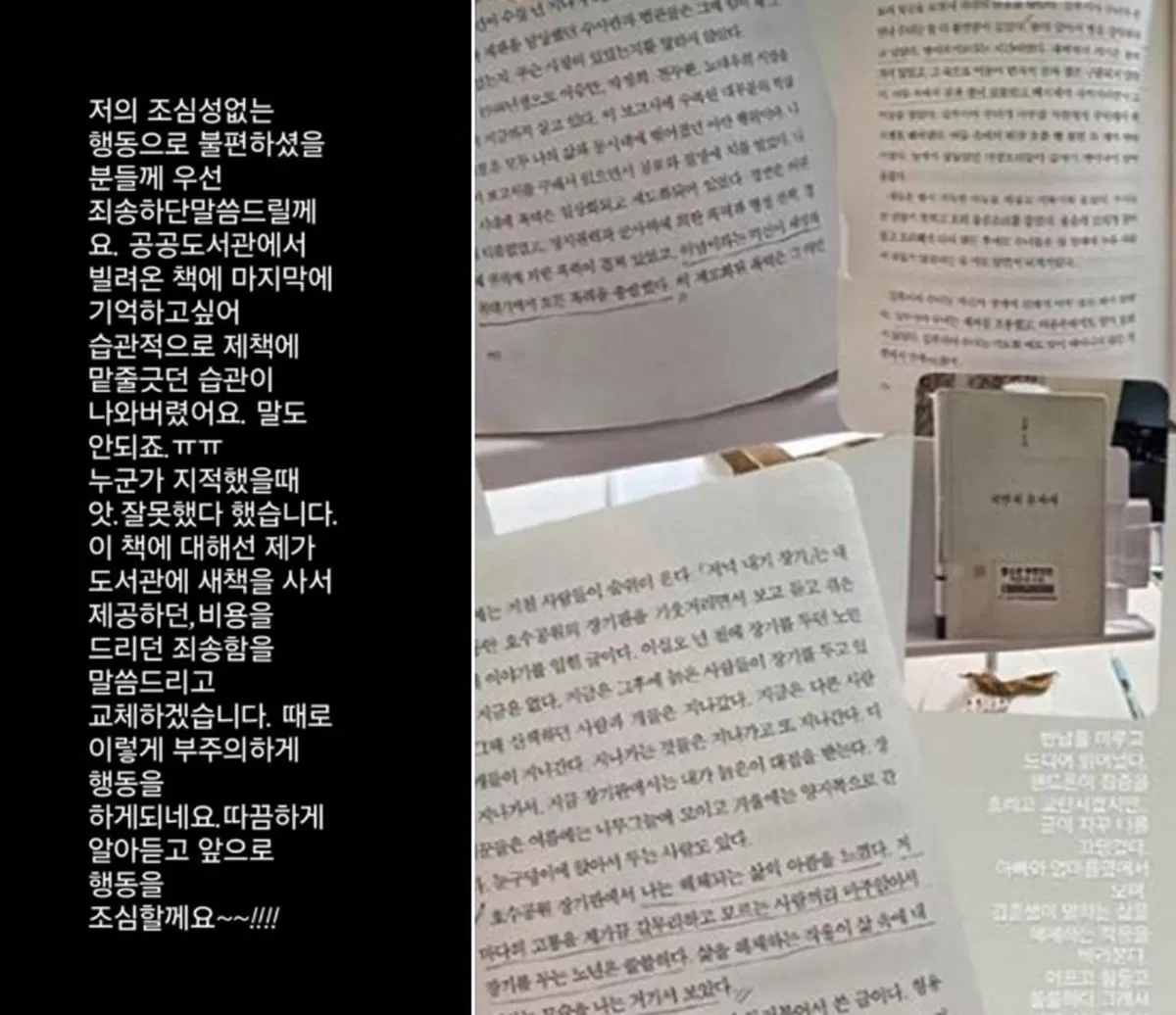 인사이트