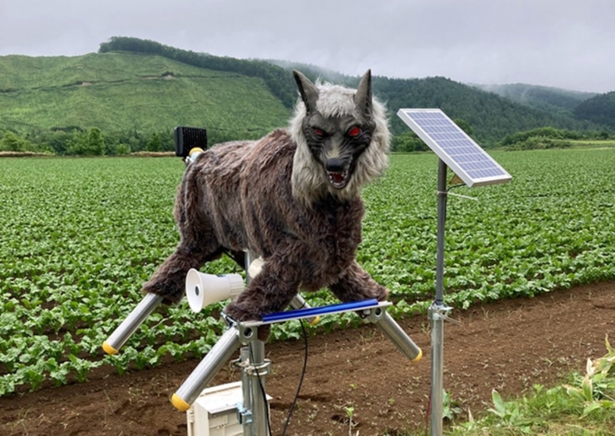 0003719262_001_20260513154312845.jpg