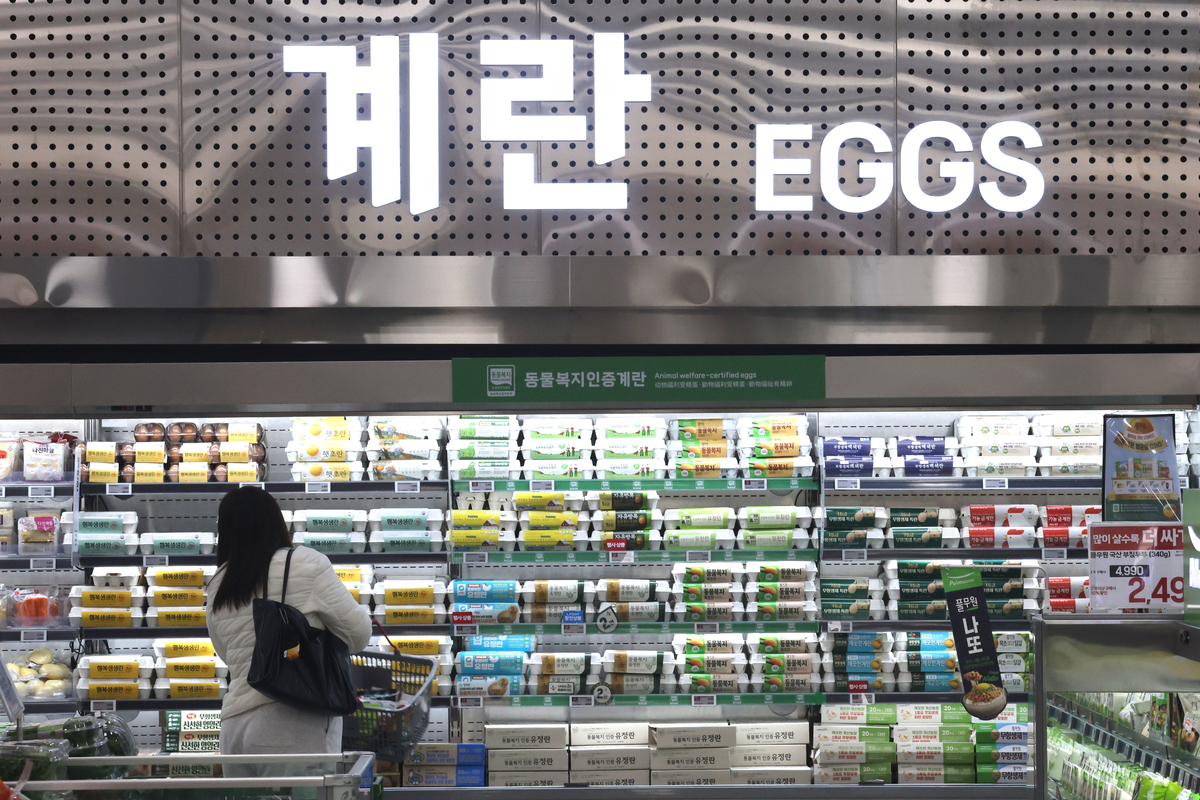 origin_떨어지지않는계란값 (1).jpg