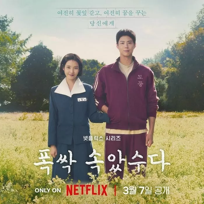 Instagram 'netflixkr'