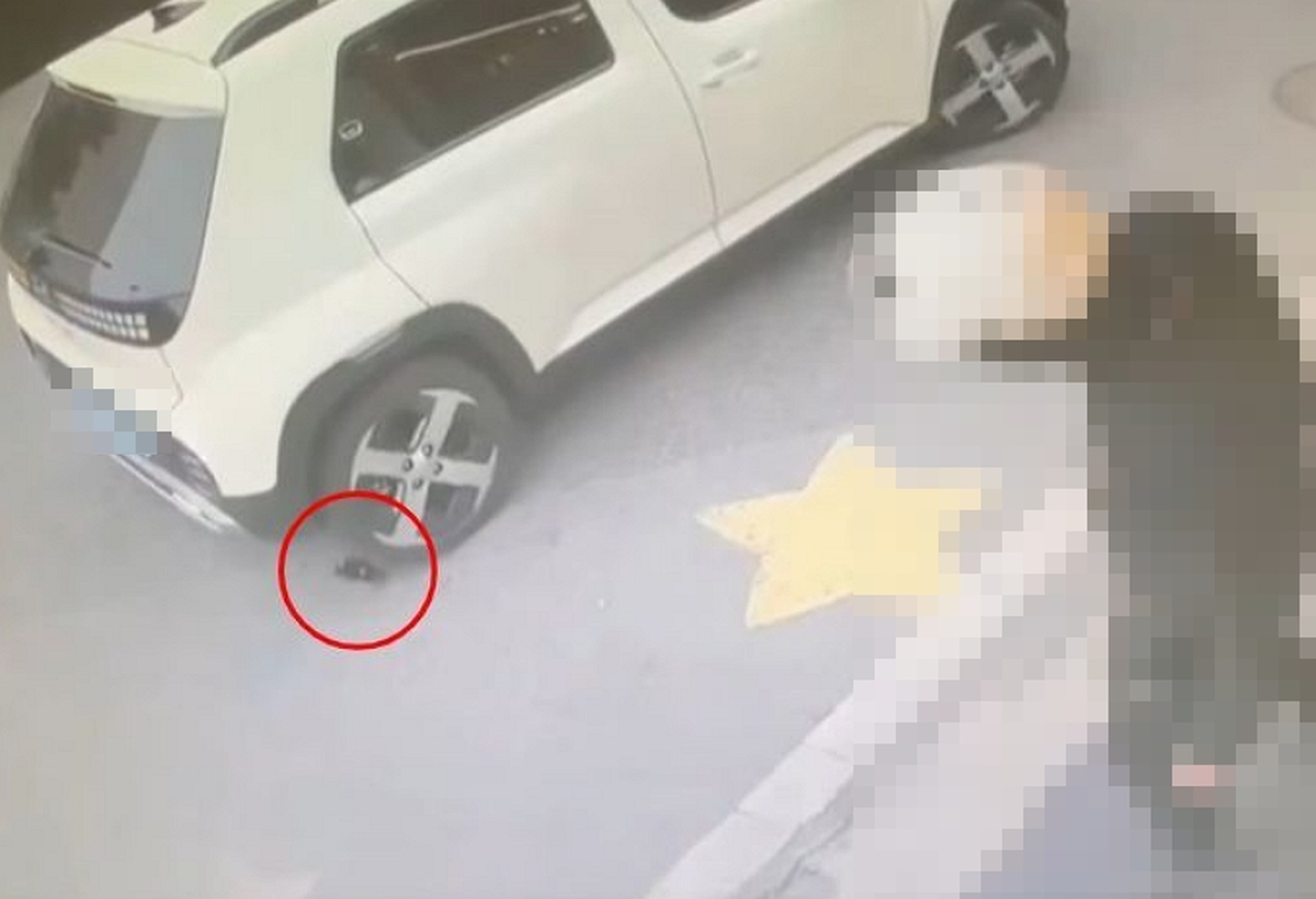 후진 차량 뒷바퀴에 휴대폰 떨어뜨린 배달기사... 